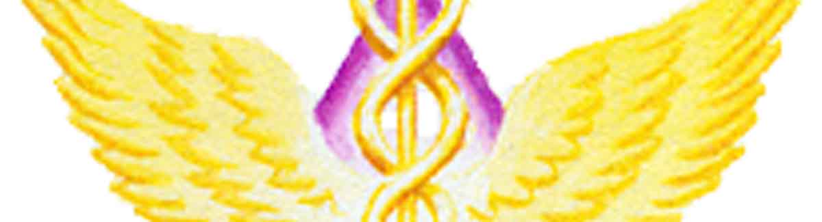 College of Vibrational Medicine Logo