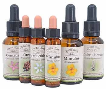 Bach Flower Remedies